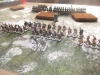 Warbands on Parade: meine Litauer (Best Painted)